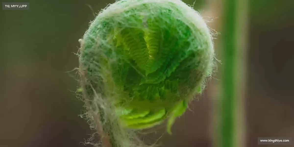 <strong>云顶集团(中国区)</strong>🥊拳头握紧的是勇气，挥出的是对生活的热爱！